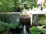 Nason Brook Dam Crossing, Nason Brook, Sebago, Maine
