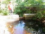 Nason Brook Dam Crossing, Nason Brook, Sebago, Maine