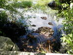 Bog Dam Crossing, Northwest River, Sebago, Maine