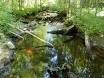 Duck Pond Brook Dam Crossing, Duck Pond Brook, Sweden, Maine