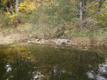 Crystal Lake Dam Crossing, Unnamed Waterbody, Harrison, Maine