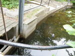 Crystal Lake Dam Crossing, Unnamed Waterbody, Harrison, Maine