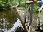 Crystal Lake Dam Crossing, Unnamed Waterbody, Harrison, Maine