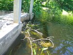 Black Lake Dam Crossing, Unnamed Waterbody, Porter, Maine