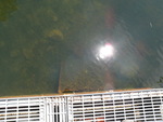 Little Ossipee Pond Dam Crossing, Little Ossipee Pond, Waterboro, Maine