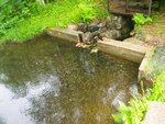 unknown Crossing, Unnamed Waterbody, Baldwin, Maine