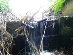 unknown Crossing, Dug Hill Brook, Baldwin, Maine