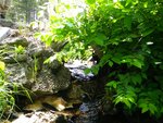 unknown Crossing, Unnamed Waterbody, Limerick, Maine