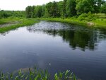 unknown Crossing, Unnamed Waterbody, Limerick, Maine