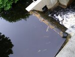 unknown Crossing, Little River, Cornish, Maine
