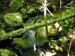 unknown Crossing, Unnamed Waterbody, Parsonsfield, Maine