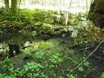 unknown Crossing, Unnamed Waterbody, Parsonsfield, Maine