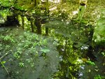 unknown Crossing, Unnamed Waterbody, Parsonsfield, Maine