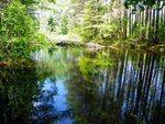 unknown Crossing, Unnamed Waterbody, Parsonsfield, Maine
