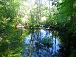 unknown Crossing, Chellis Brook, Newfield, Maine