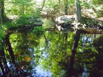 unknown Crossing, Chellis Brook, Newfield, Maine