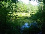 unknown Crossing, Chellis Brook, Newfield, Maine