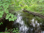 unknown Crossing, Unknown, Newfield, Maine