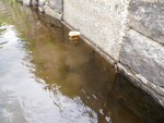 unknown Crossing, Chellis Brook, Newfield, Maine