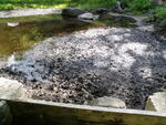 unknown Crossing, Unknown, Shapleigh, Maine