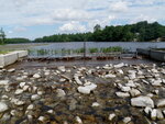 Roberts-Wadley Pond Dam Crossing, Roberts Pond, Lyman, Maine