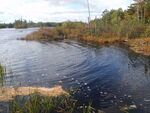 Roberts-Wadley Pond Dam Crossing, Roberts Pond, Lyman, Maine