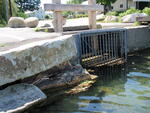 Upper Clearwater Pond Dam Crossing, Industry, Maine