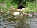 Dunham's Pond Dam Crossing, Phillips, Maine