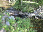 Unknown Crossing, Dilnow Brook, Monmouth, Maine