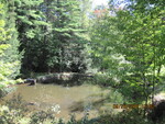 Unknown Crossing, Dilnow Brook, Monmouth, Maine
