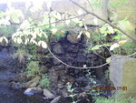 Mill Pond Dam Crossing, Ashford Brook, Litchfield, Maine