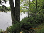 Houghton Pond Dam Crossing, Houghton Pond, West Bath, Maine
