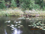 Houghton Pond Dam Crossing, Houghton Pond, West Bath, Maine