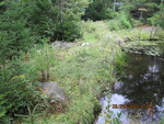 Houghton Pond Dam Crossing, Houghton Pond, West Bath, Maine