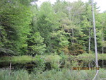 Morton Dam Crossing, Unknown, Pittston, Maine