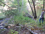 Unknown Crossing, Unnamed Waterbody, Phippsburg, Maine