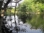 Unknown Crossing, Unnamed Waterbody, Phippsburg, Maine