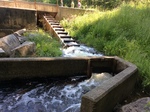 Archers Dam Crossing, Stetson Stream, Stetson, Maine