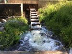 Archers Dam Crossing, Stetson Stream, Stetson, Maine