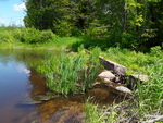 Unknown Crossing, Greene, Maine