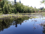 Unknown Crossing, Wayne, Maine