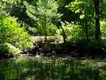 Unknown Crossing, Leeds, Maine