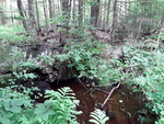 Unknown Crossing, Fayette, Maine