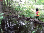 Unknown Crossing, Fayette, Maine