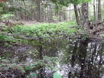 Unknown Crossing, Fayette, Maine