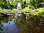 Unknown Crossing, Vienna, Maine