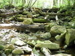 Unnamed Crossing, Jordan Brook, Riley Twp, Maine