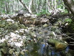 Unnamed Crossing, Jordan Brook, Riley Twp, Maine