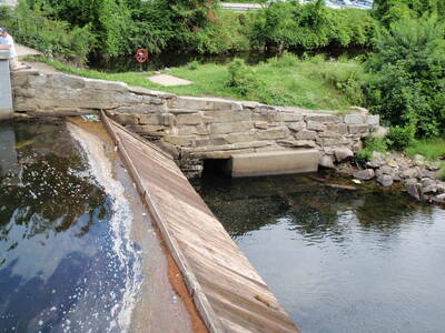 image preview