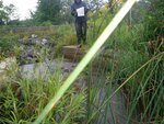 Unknown Crossing, Sabattus River, Lewiston, Maine